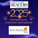 SMT Platinum Strat Partner.jpg