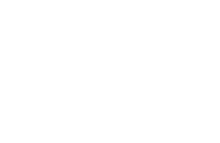 eis logo w.webp