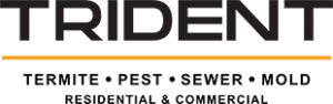Trident Inspection Logo.webp